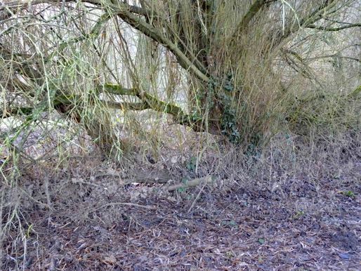 Newmill Bridge CrPrk Fence5 3.12.19
