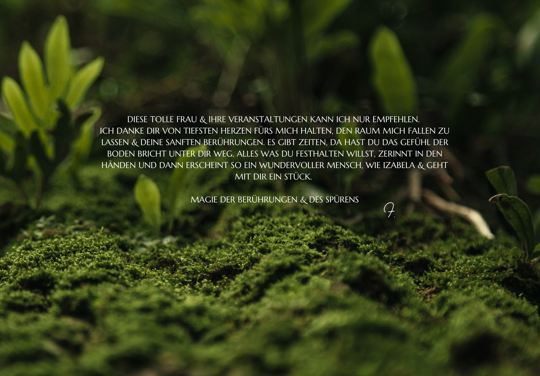 Testmonial meine WS  (14)