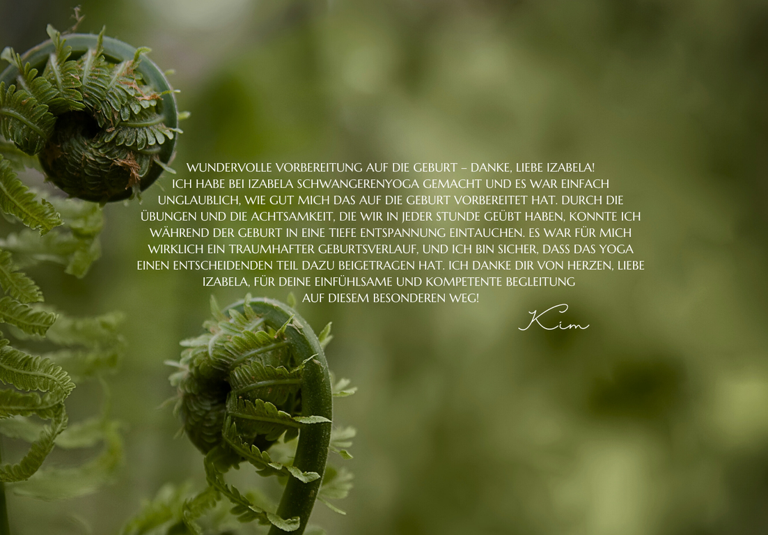 Testmonial meine WS  (16)