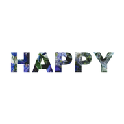  HAPPY (Happiness is You Remix)