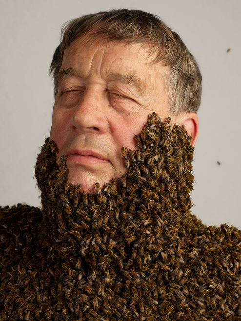 Keeper of the Bees