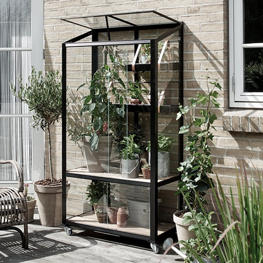 City greenhouse