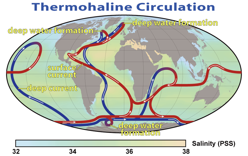 Figuur Thermohaline Ciorculatie. 