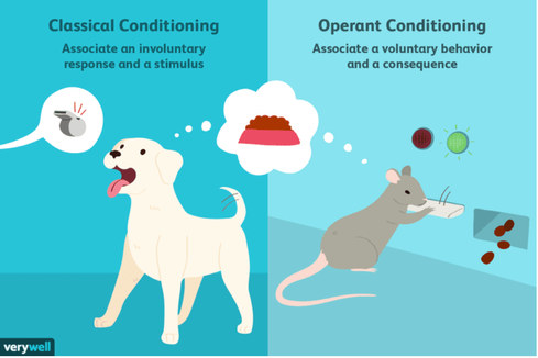 figuur operante conditionering