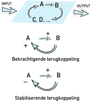 Figuur positioeve feedbck en negatieve feedback.