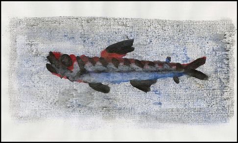 Poisson