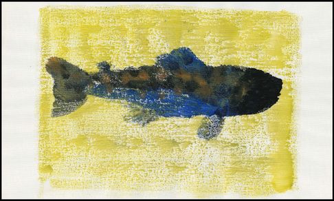 Poisson 