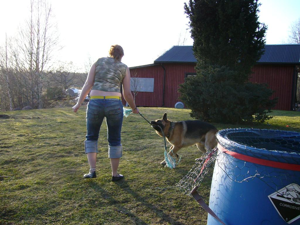Jägarstugans Hundcenter galleri bild 8