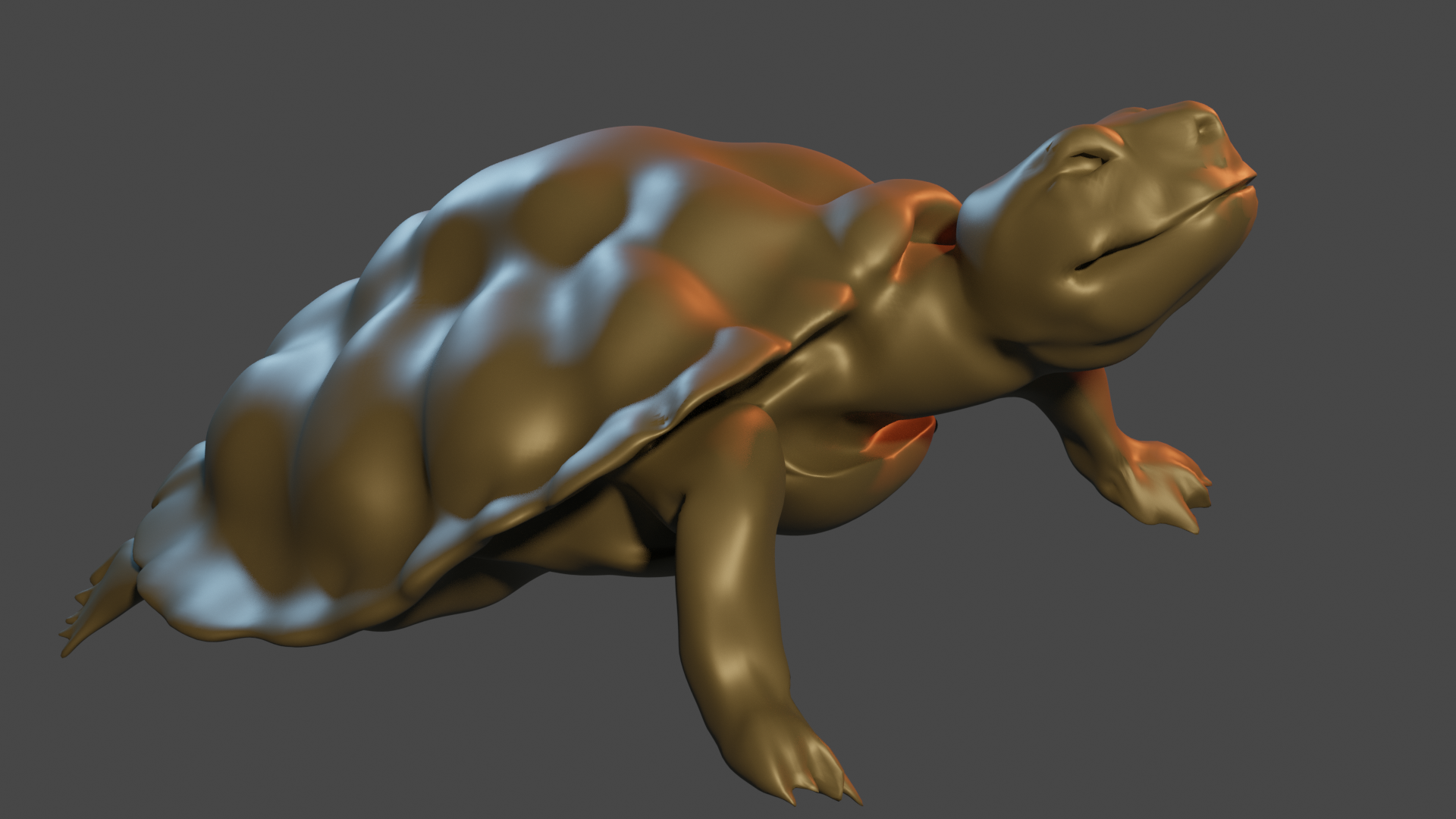 Turtle 01 Cycles