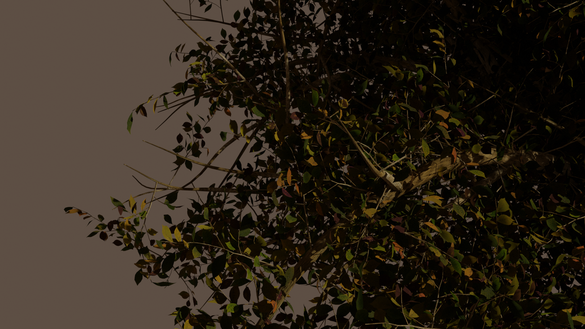 nature_renders_trees_04