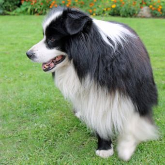 Odin_03