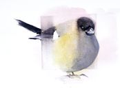 Domherre 30x40 Såld