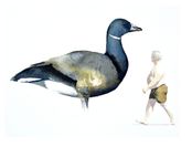 Prutgås-man