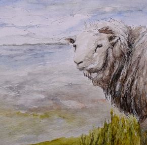 Schaap op het wad