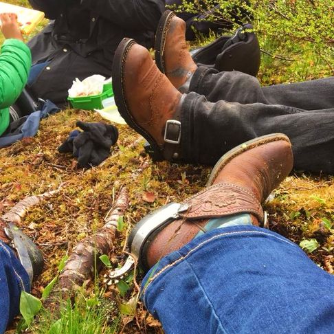 Boots på fjället