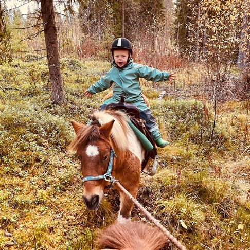Lillen flyger på Mini
