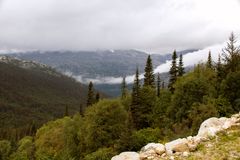 DSC04041