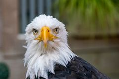 DSC04250a