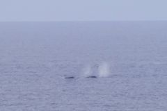 DSC04286a