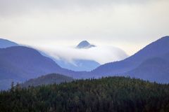 DSC04291