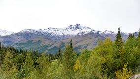 DSC03302