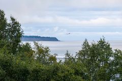 DSC03567