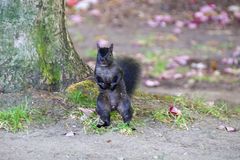 DSC04475a