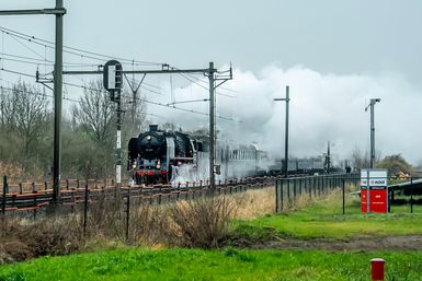DSC01437s kopie