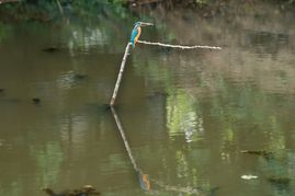 DSC03235