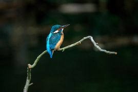 DSC03320