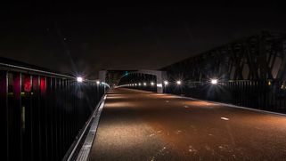 DSC03923