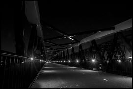 DSC03930zw