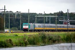 DSC06029
