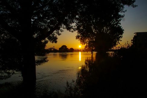 DSC09829