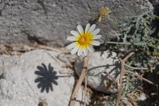 DSC06044