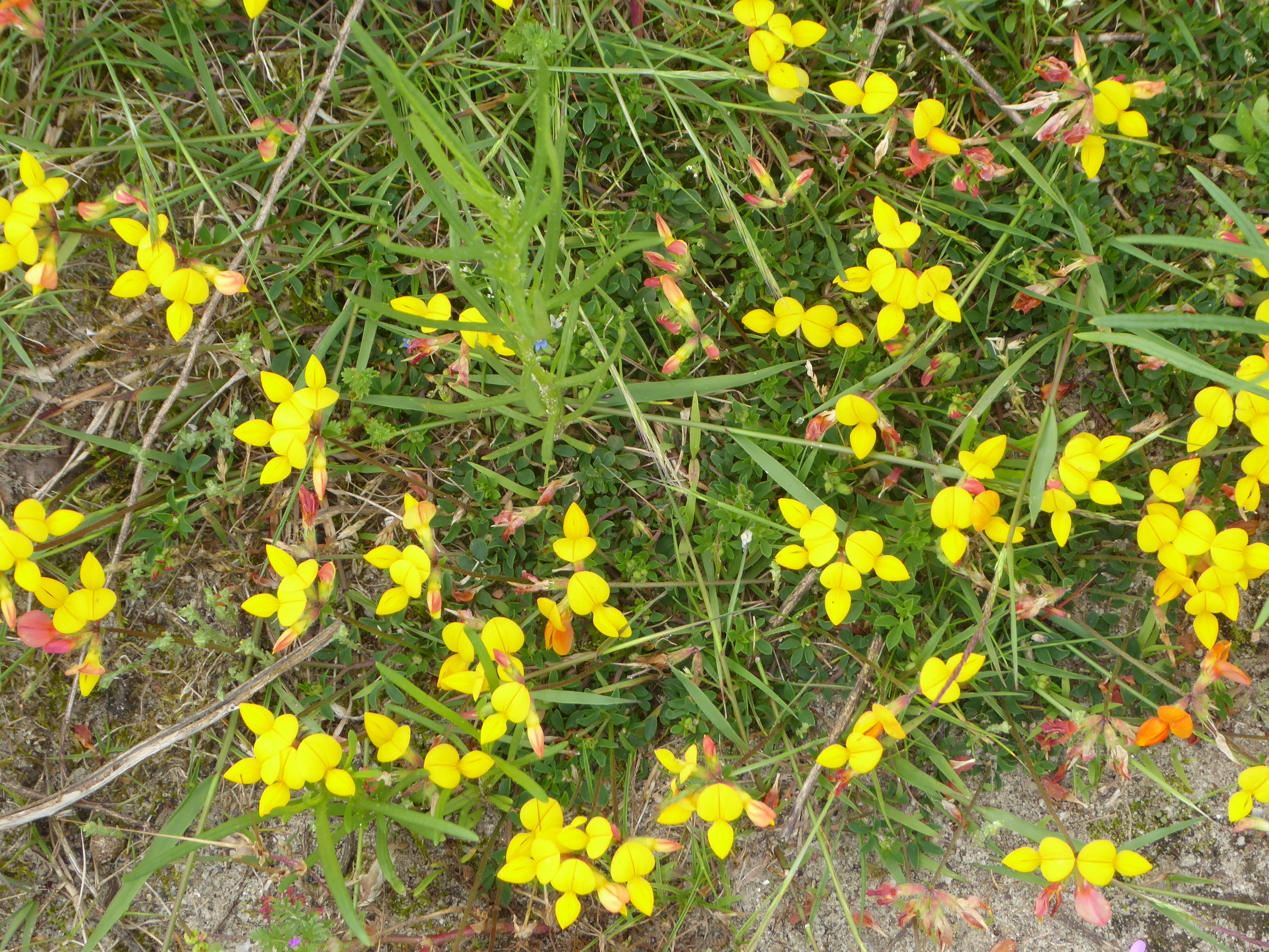 P1180132