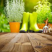 jardinage