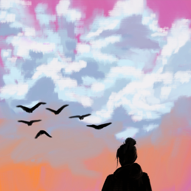about the birds