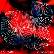 Un vent manxaire (2024)