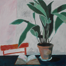 Plante II