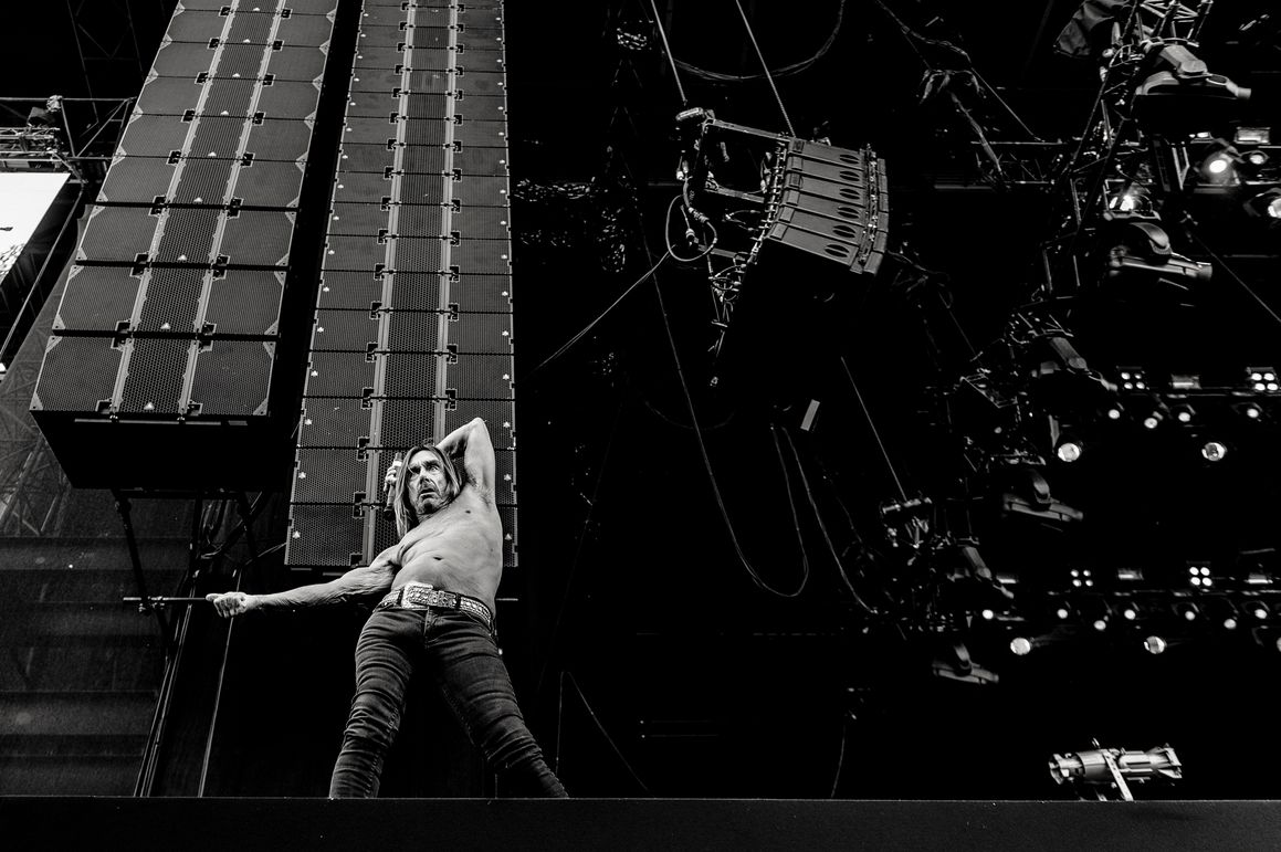 Iggy Pop live