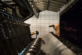 _DSC0979