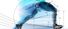 Personal trainer én personal training expert Purmerend | jefitcoach.nl