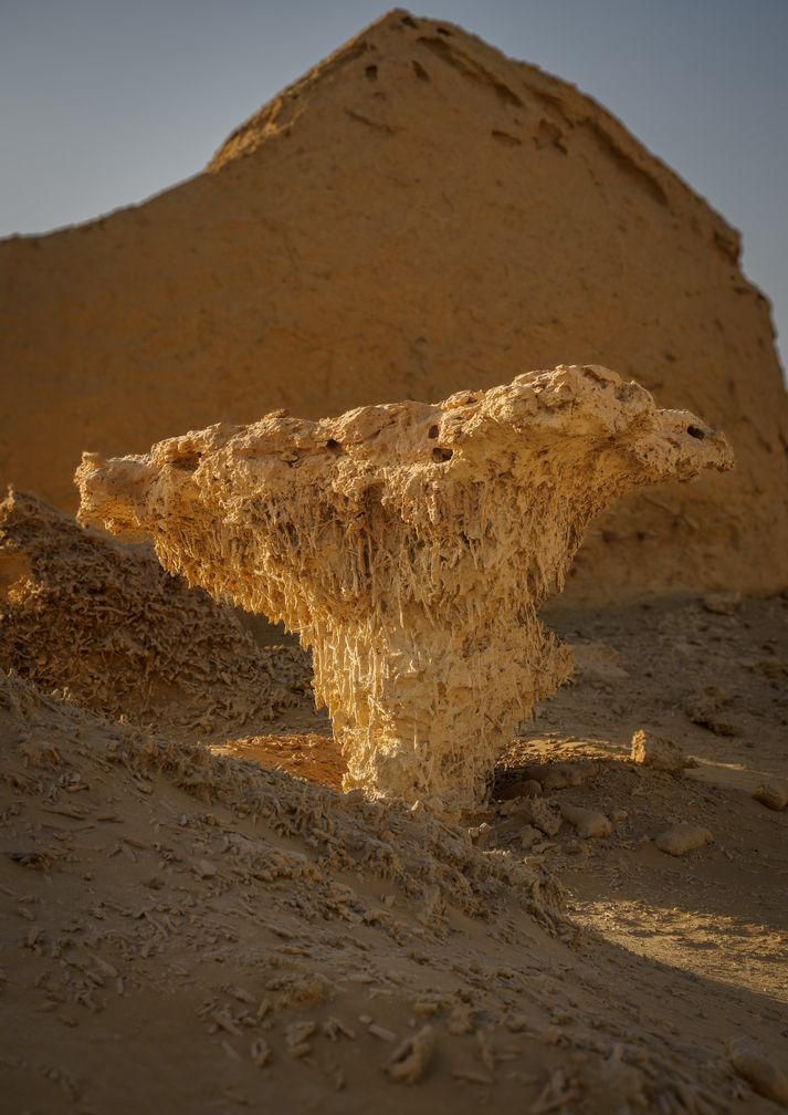 Egypte woestijn