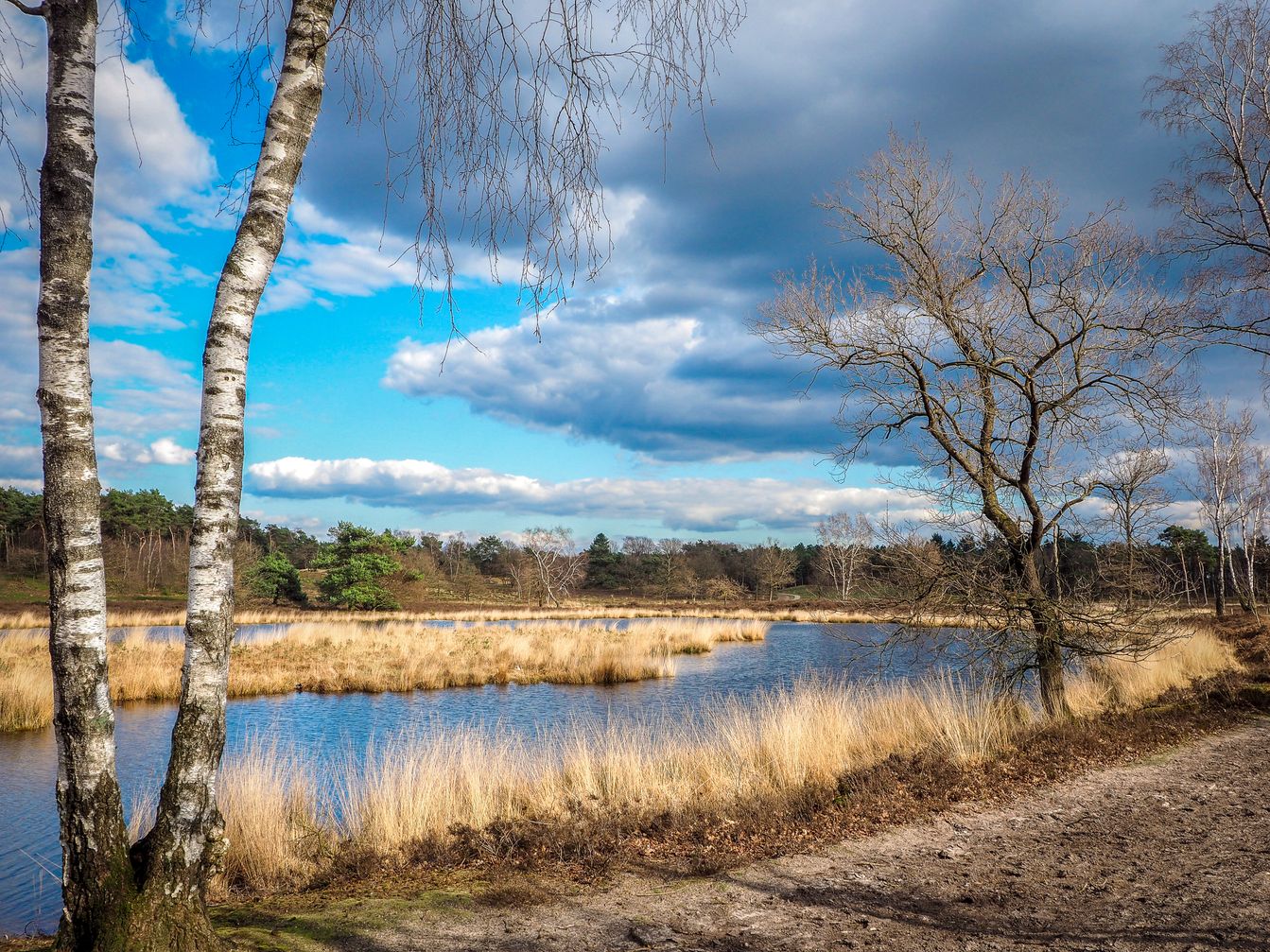 Hatertse vennen