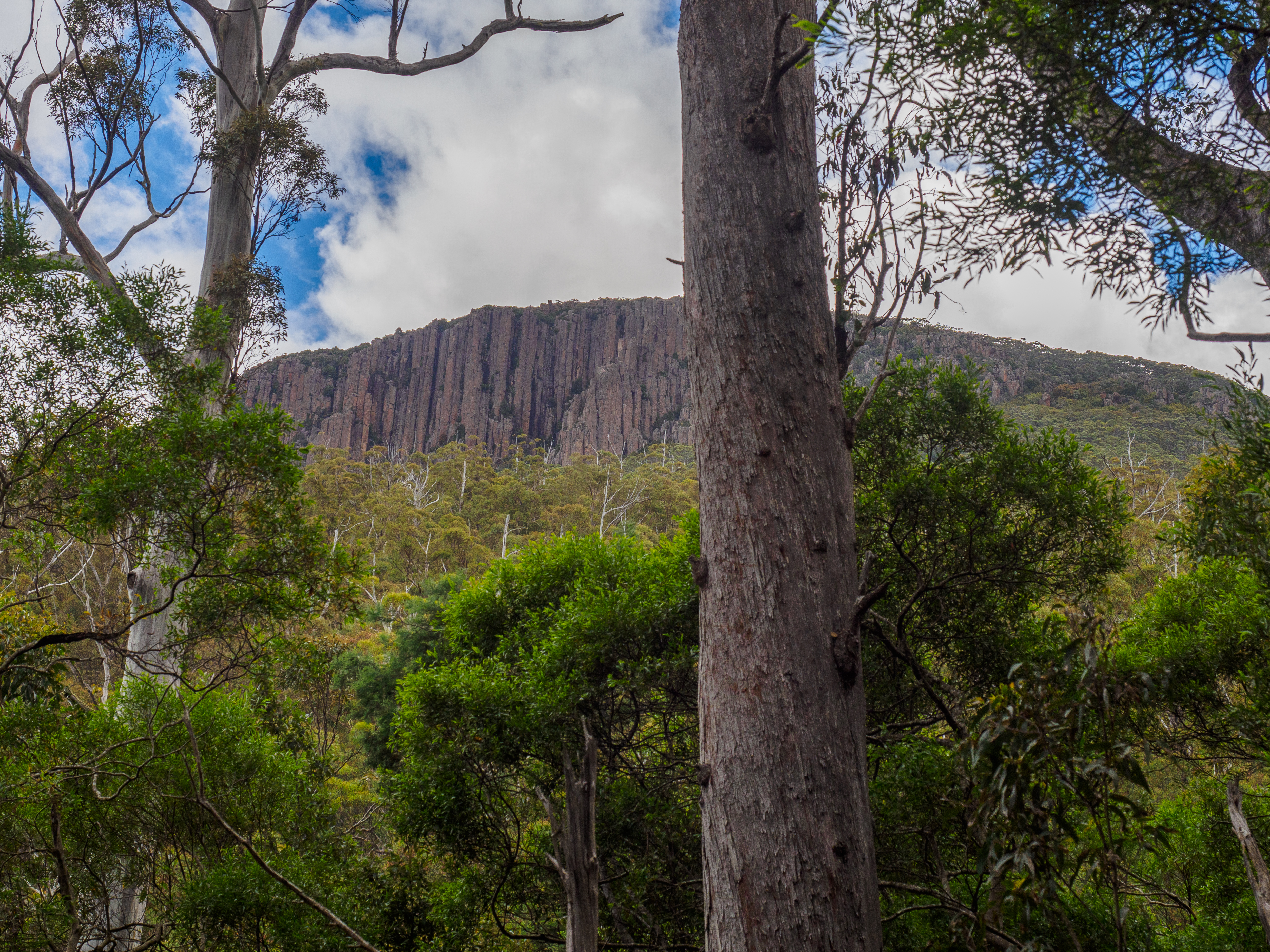 Mount Wellington
