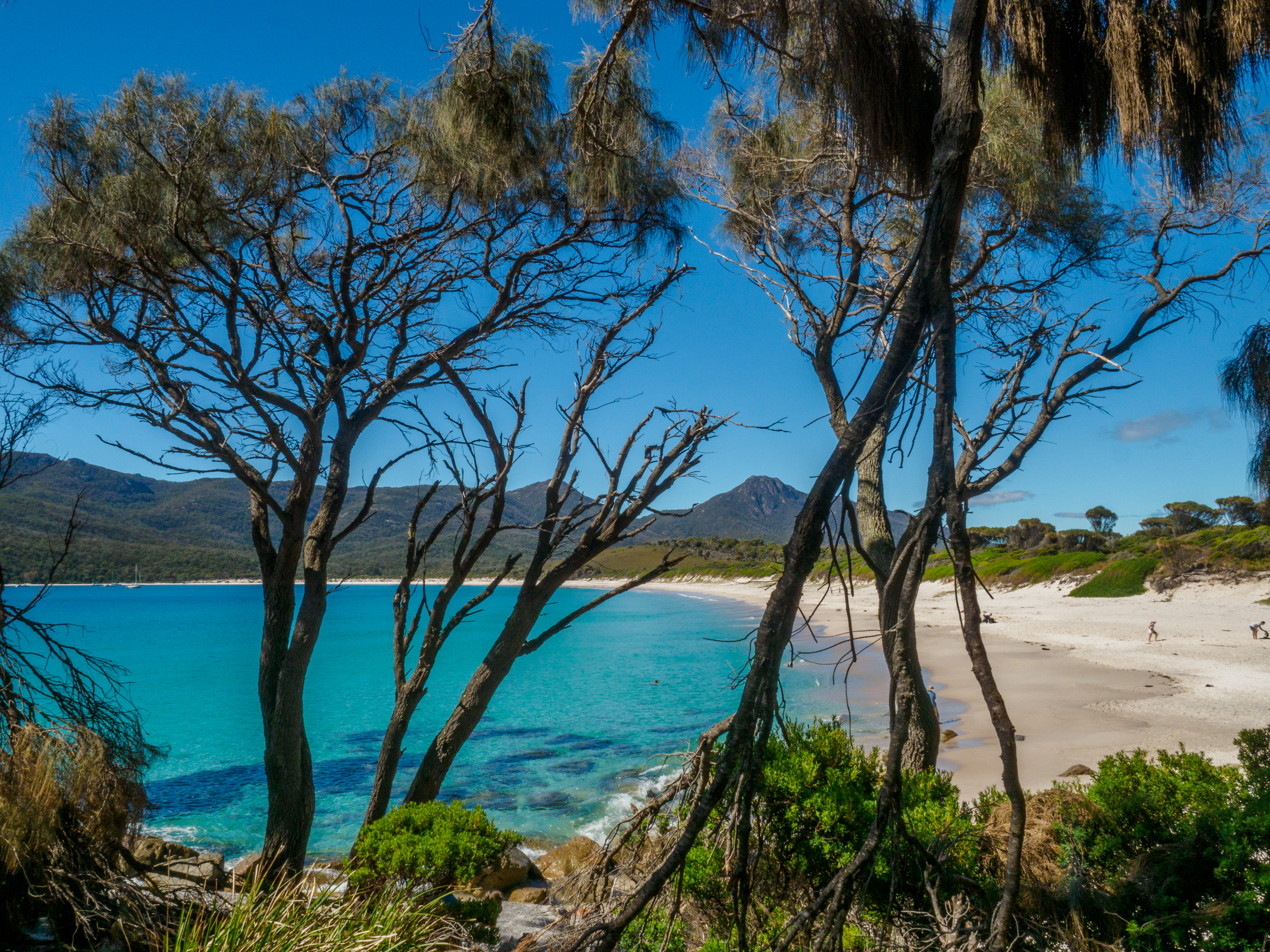 Freycinet