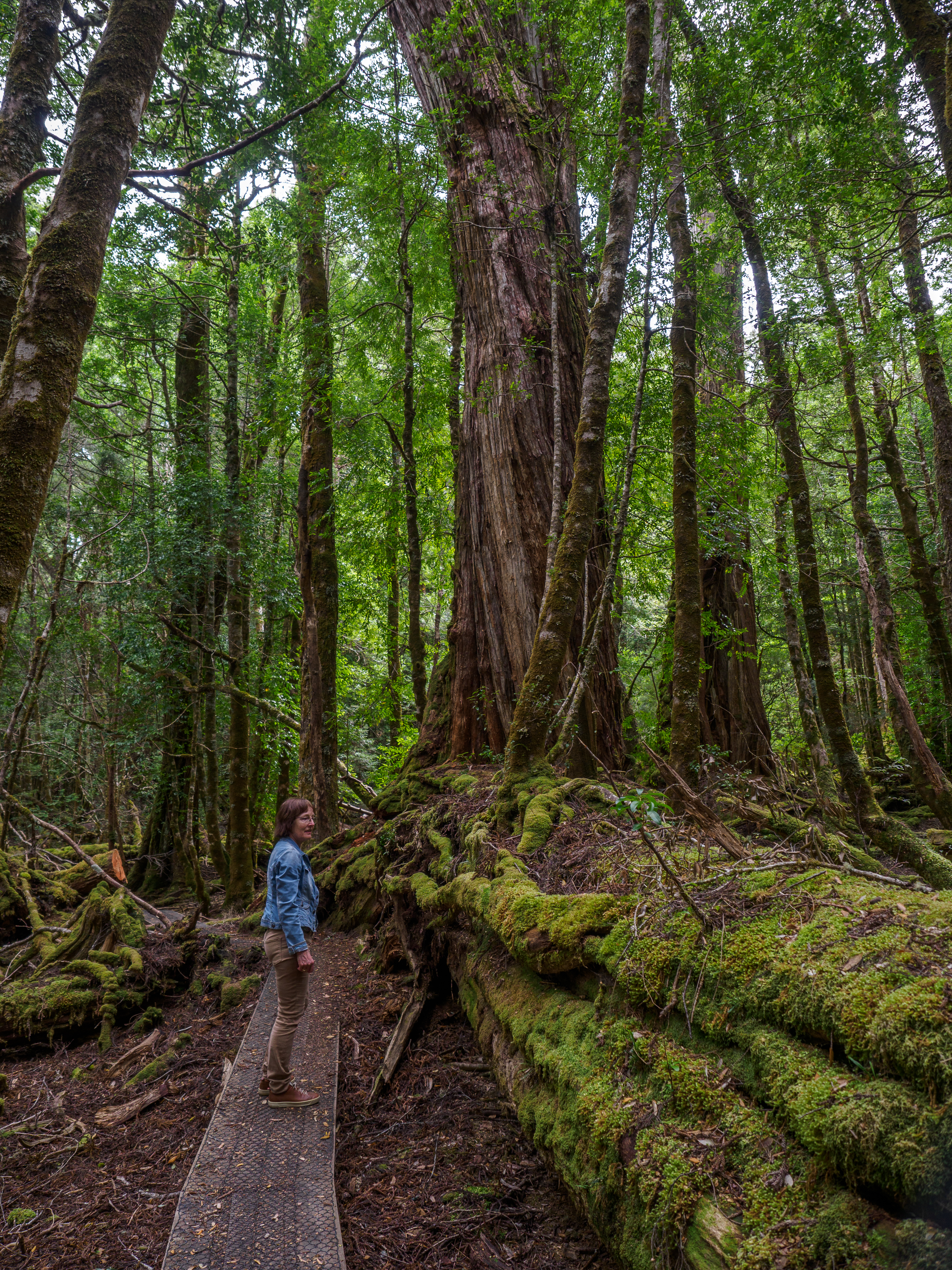 Cradle Mountain