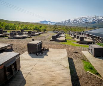 Husky-farm Tromso