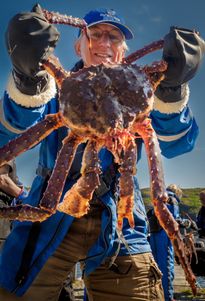 Barentsz with King Crab from Barentsz Sea